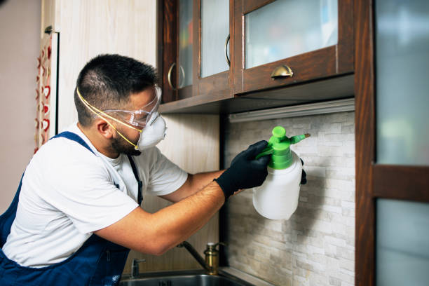Best Pest Control Near Me in Sweetwater, TN