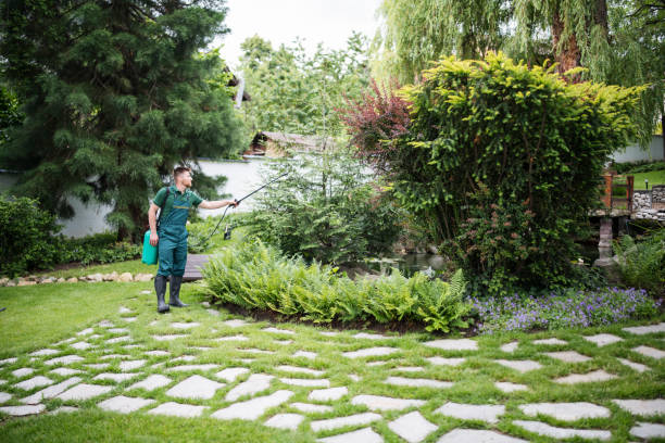Best Pest Prevention Services  in Sweetwater, TN