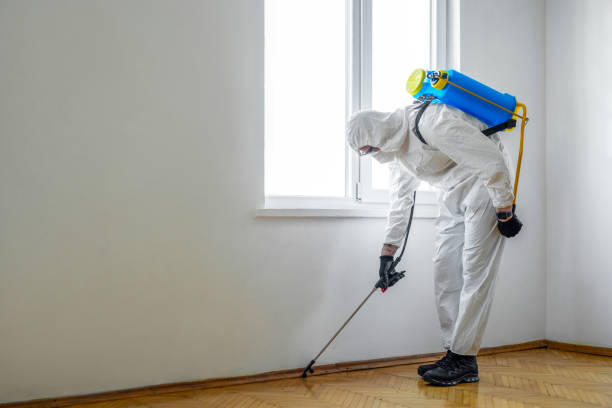 Professional Pest Control in Sweetwater, TN