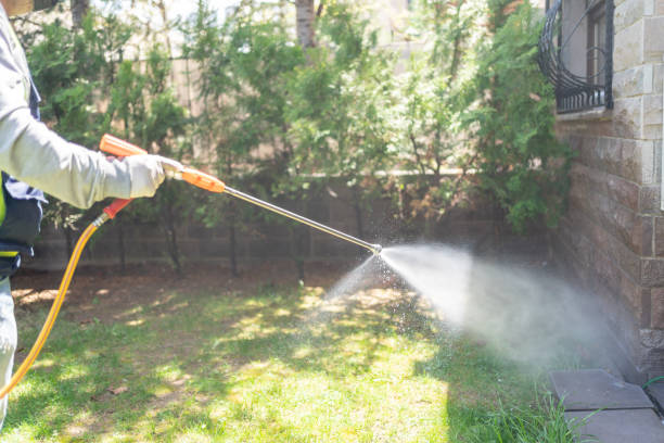 Spider Control Near Me in Sweetwater, TN