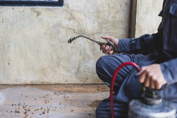 Best Emergency Pest Control  in Sweetwater, TN